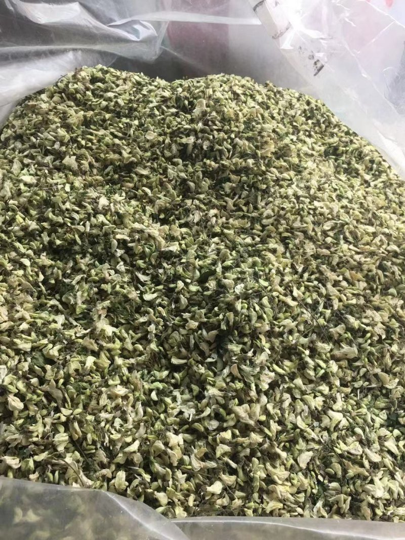 槐花脱水洋槐花农村采摘无污染