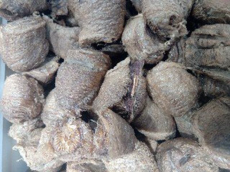 桑螵蛸1公斤起批运费电议邮量大从优欢迎咨询