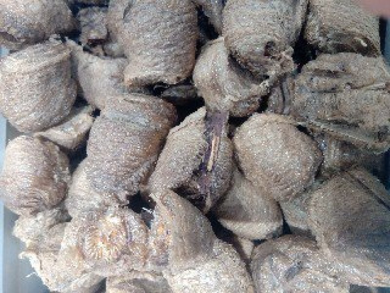 桑螵蛸1公斤起批运费电议邮量大从优欢迎咨询