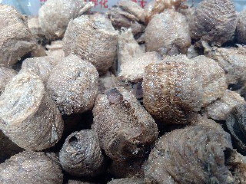桑螵蛸1公斤起批运费电议邮量大从优欢迎咨询