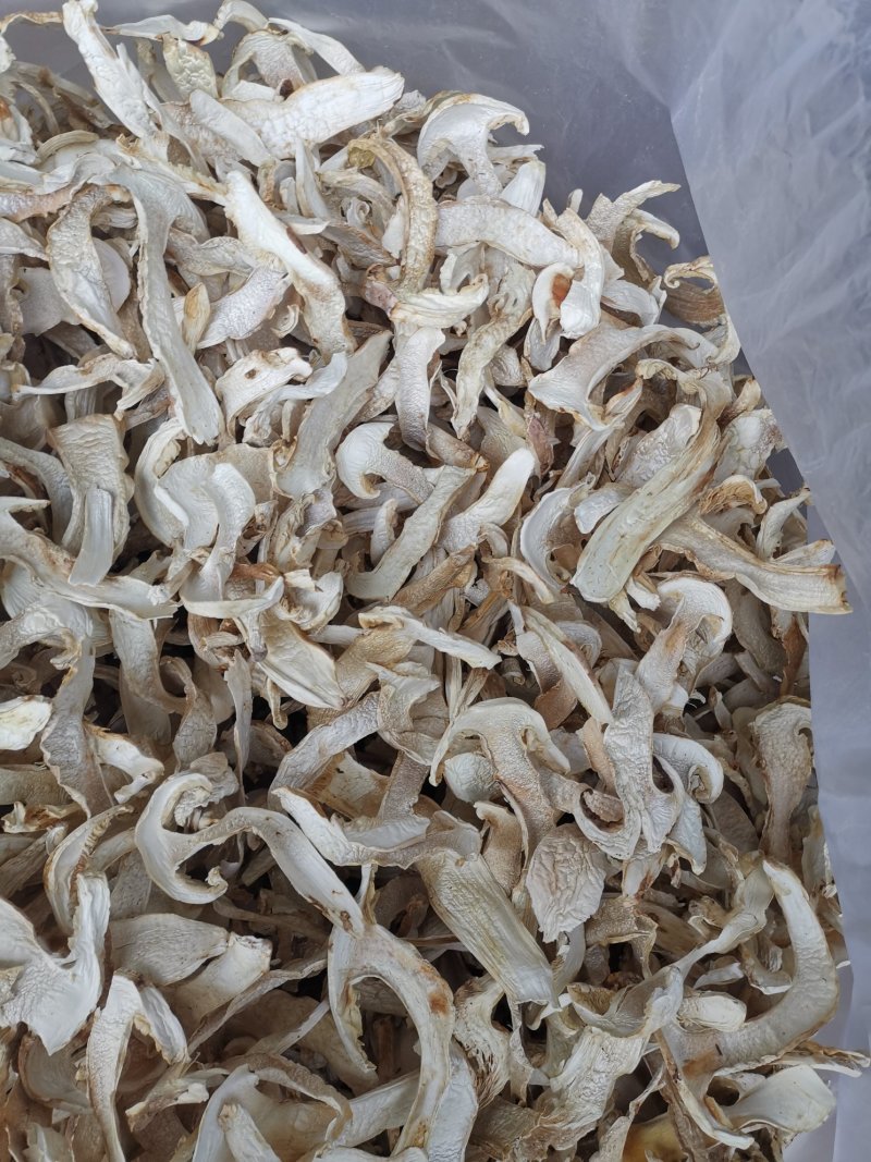 松茸干片一首货源专注精品质优价廉诚信经营