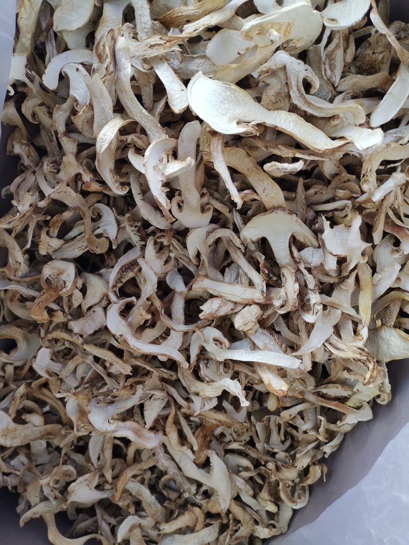 松茸干片一首货源专注精品质优价廉诚信经营
