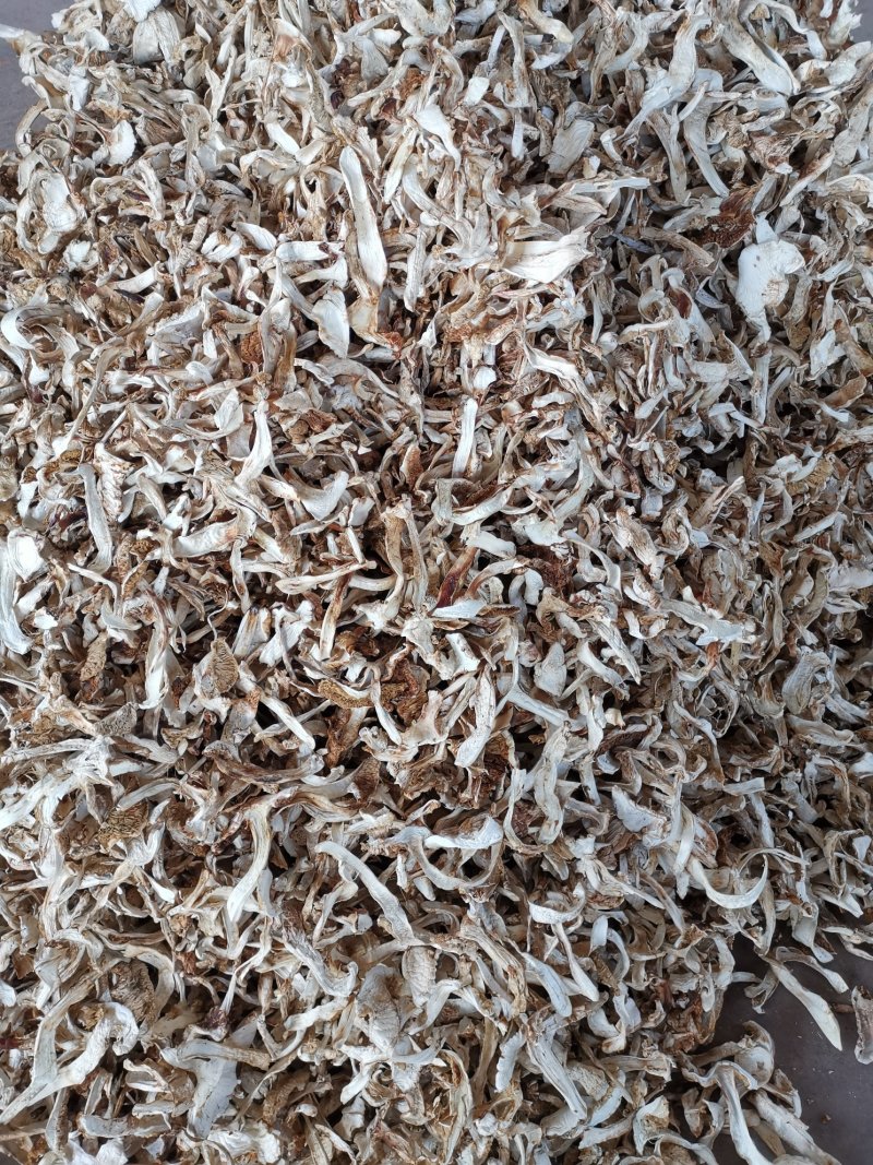 松茸干片一首货源专注精品质优价廉诚信经营