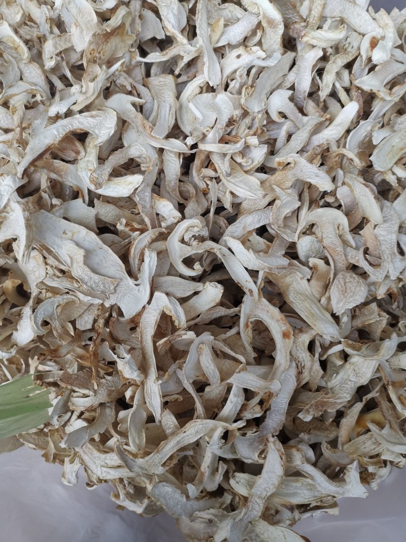 松茸干片一首货源专注精品质优价廉诚信经营