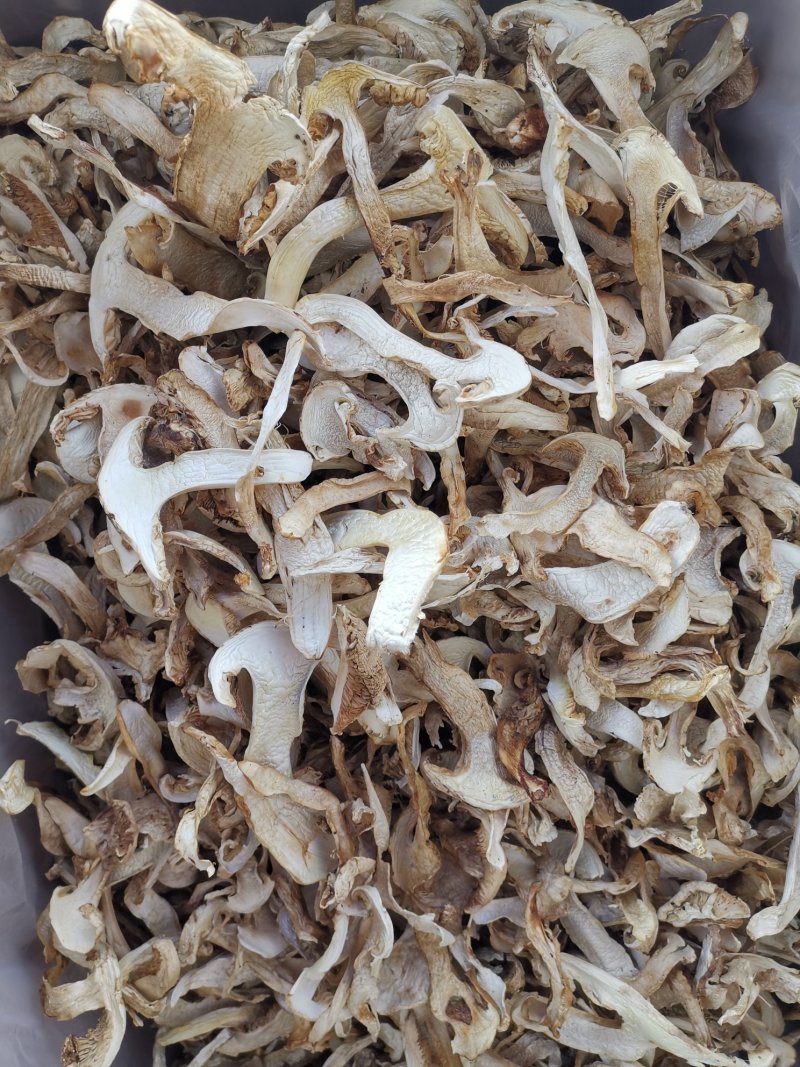 松茸干片一首货源专注精品质优价廉诚信经营
