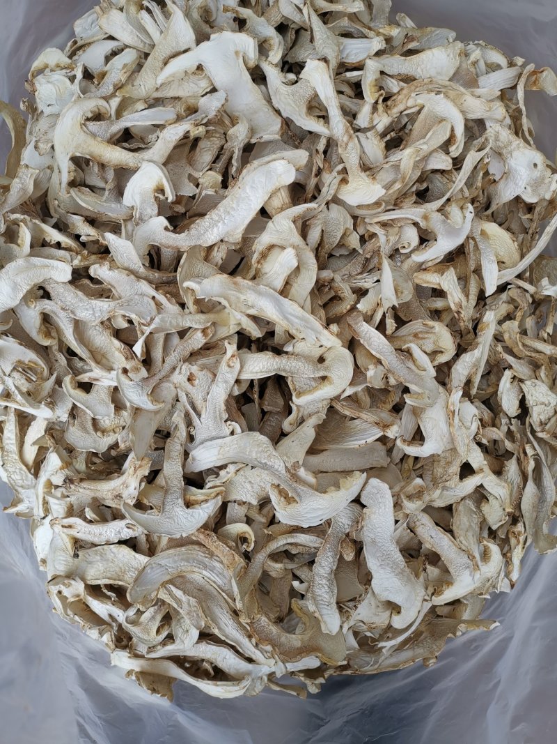 松茸干片一首货源专注精品质优价廉诚信经营