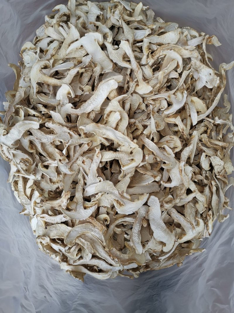 松茸干片一首货源专注精品质优价廉诚信经营