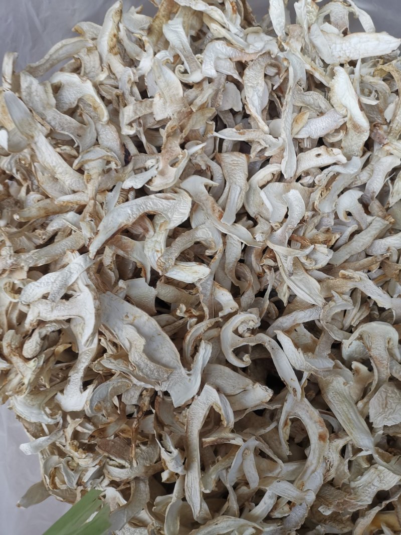 松茸干片一首货源专注精品质优价廉诚信经营