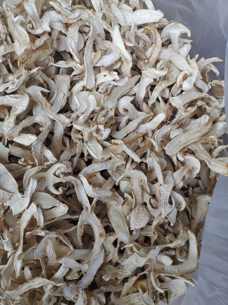 松茸干片一首货源专注精品质优价廉诚信经营