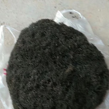 宁夏野生发菜（谐音发财，有需要的老板看过来）欢迎批发