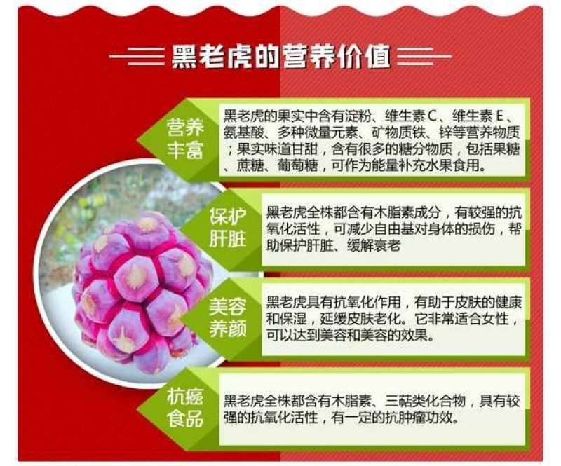 黑老虎果、布福娜果