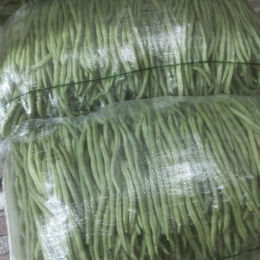 架豆王上市了