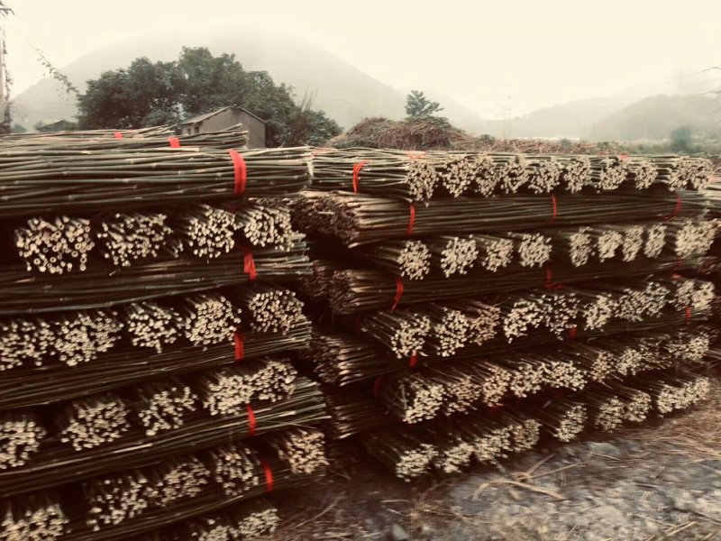 优质菜架竹竿，毛竹尾正在集货
