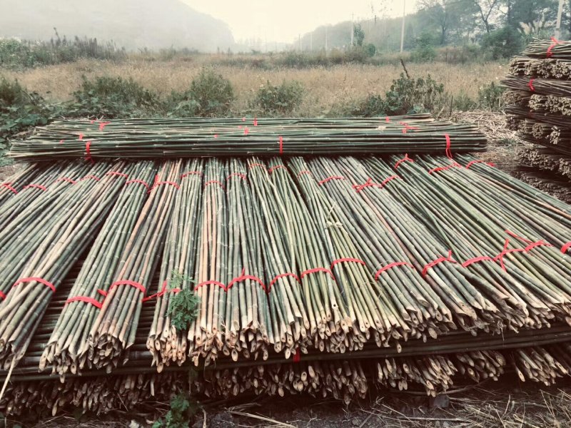 优质菜架竹竿，毛竹尾正在集货
