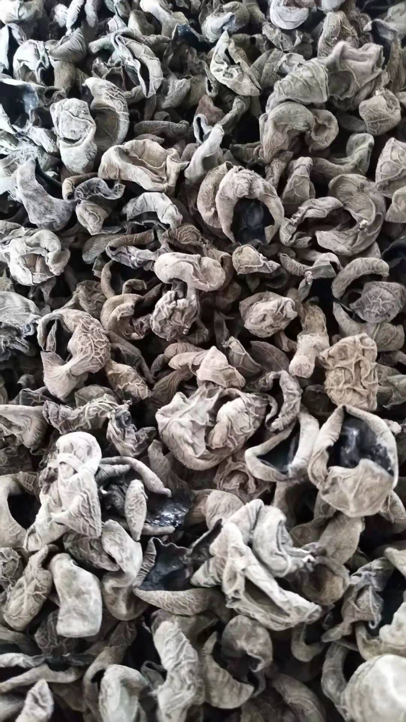 东北产地直发小碗秋细筋秋木耳