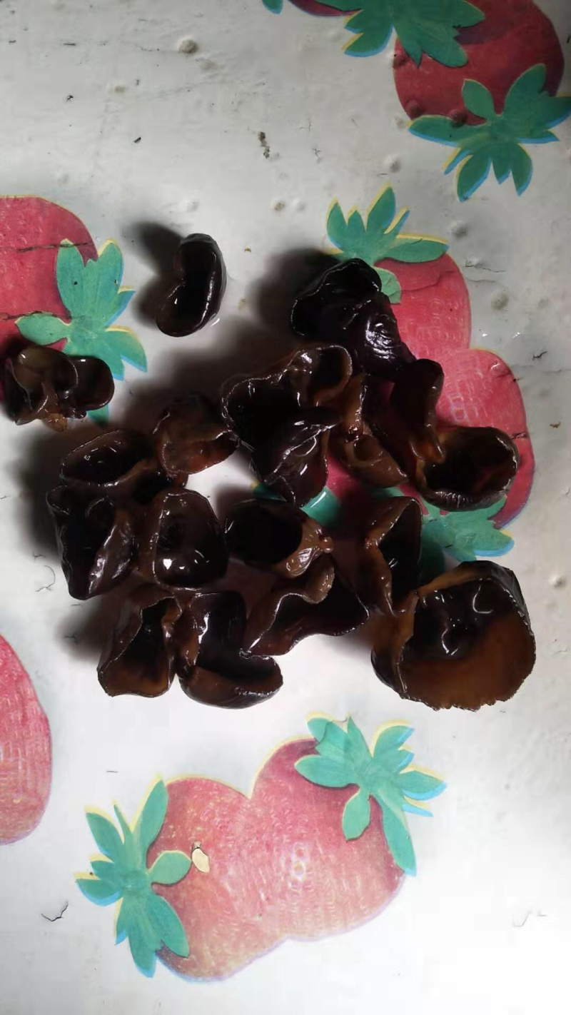东北产地直发小碗秋细筋秋木耳
