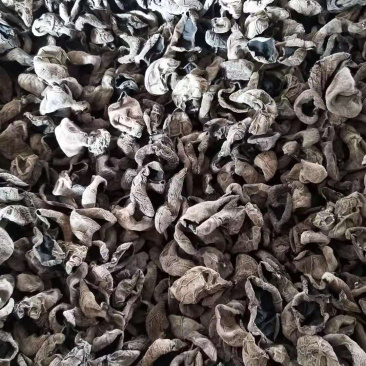 东北产地直发小碗秋细筋秋木耳