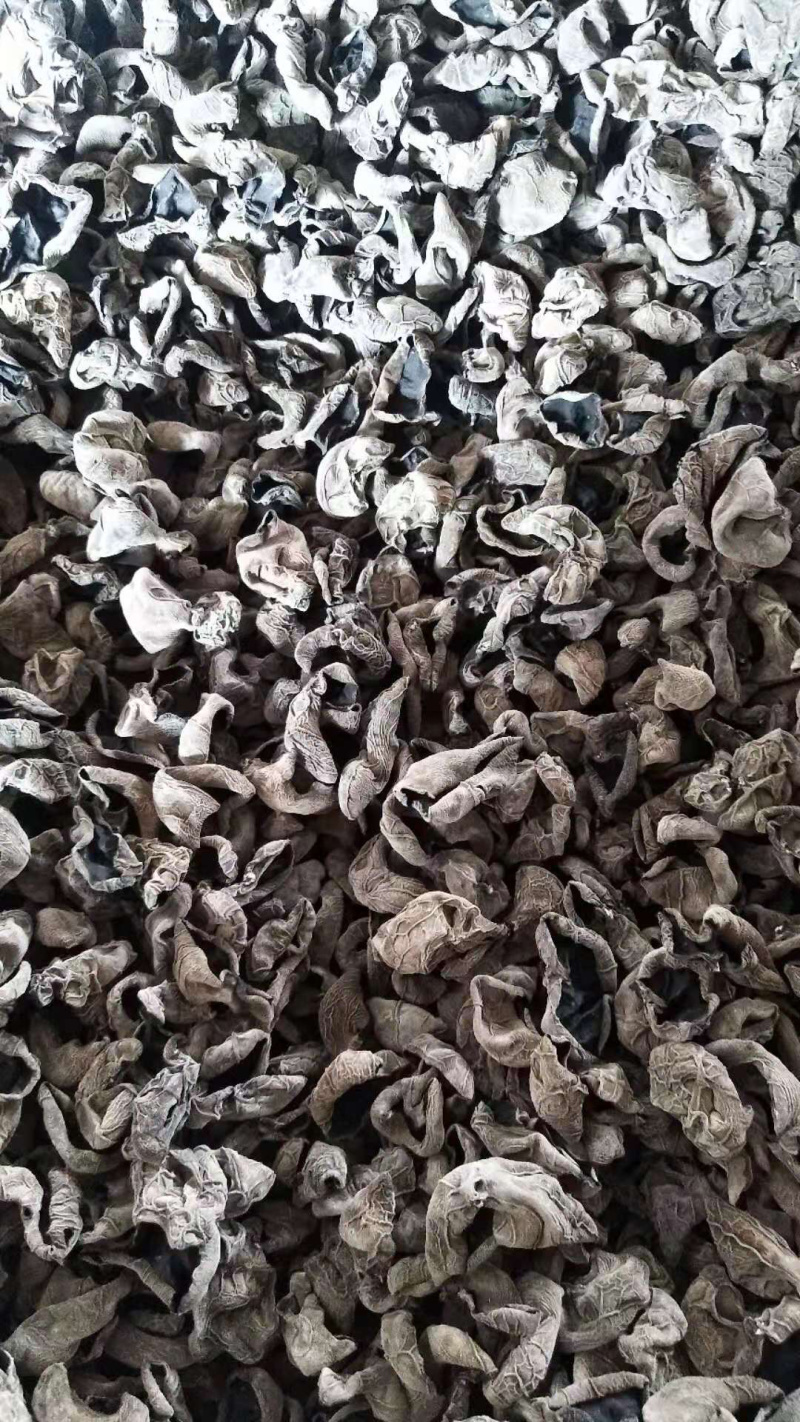 东北产地直发小碗秋细筋秋木耳