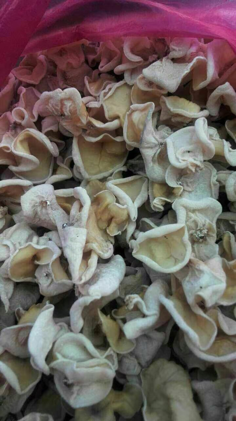 白玉木耳颜色白，代茸