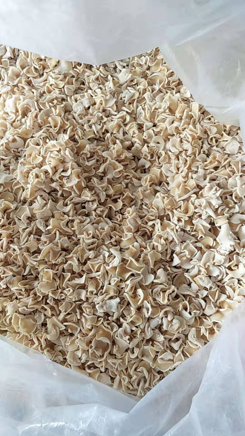 白玉木耳颜色白，代茸