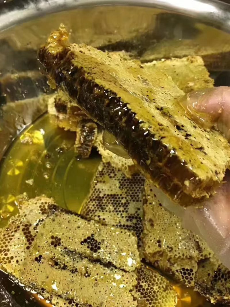 大量出售蜂种，自产土蜂蜜