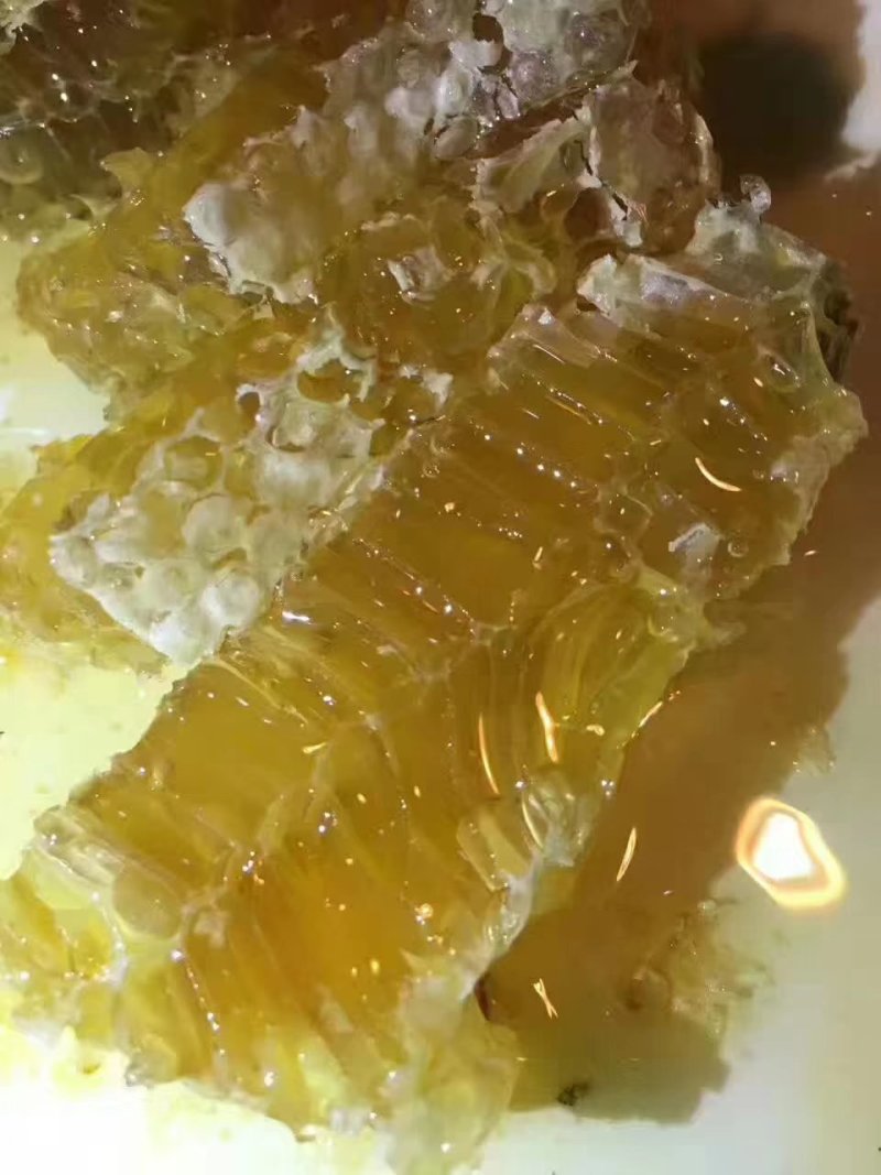 大量出售蜂种，自产土蜂蜜