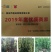 红豆杉红豆杉苗红豆杉树红豆杉小苗