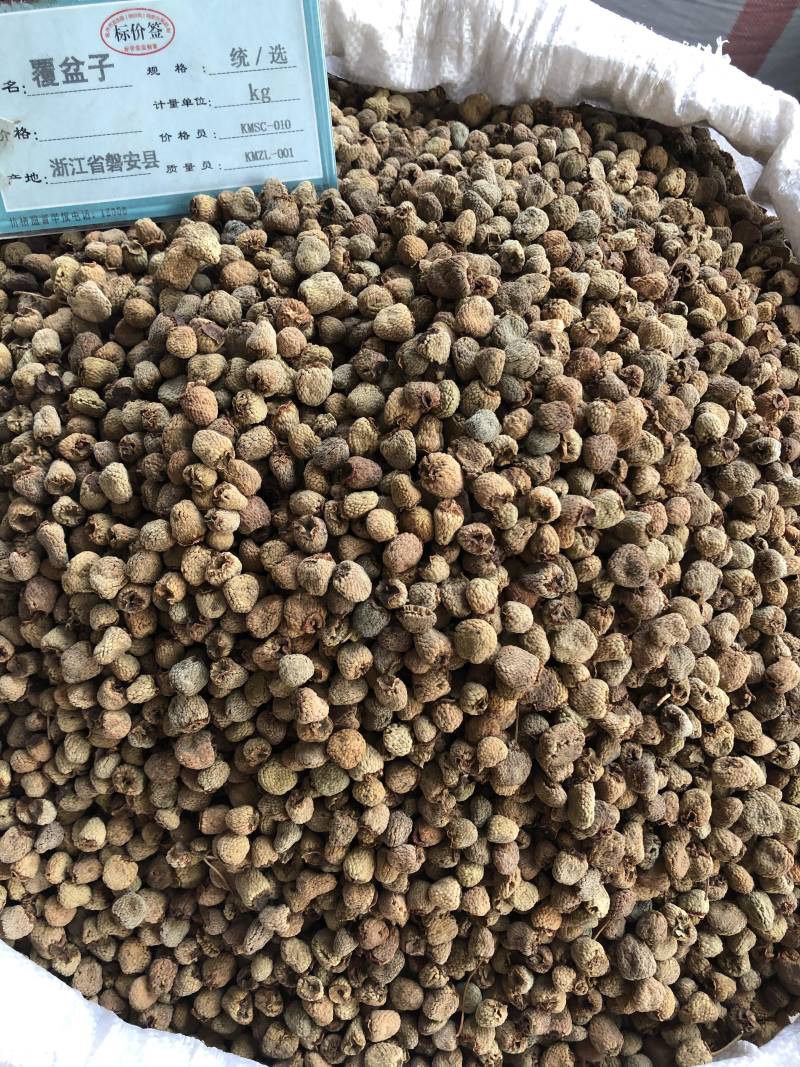 覆盆子1⃣️公斤起批中药材大颗粒精选覆盆子