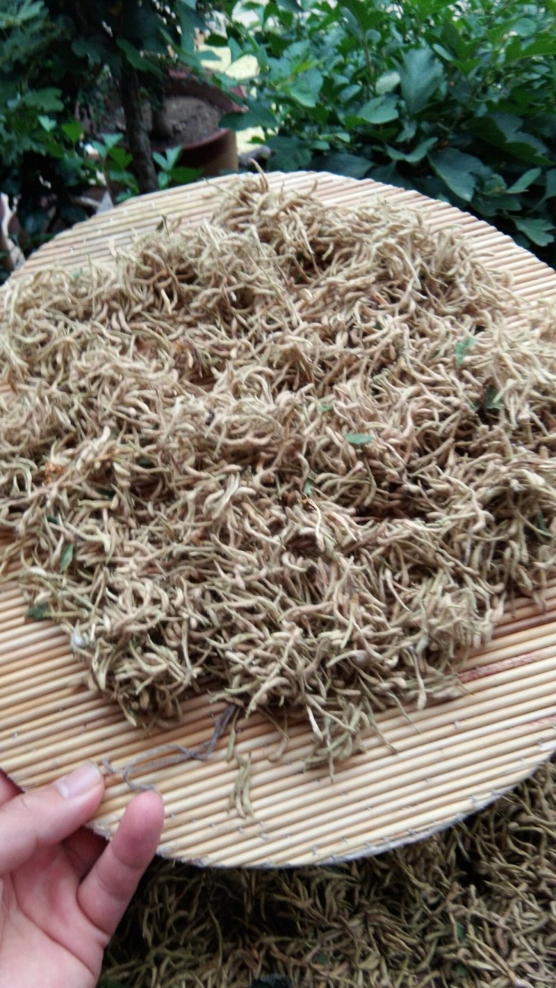 山东“金银花”干花直销供应