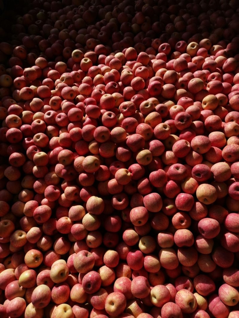 苹果🍎