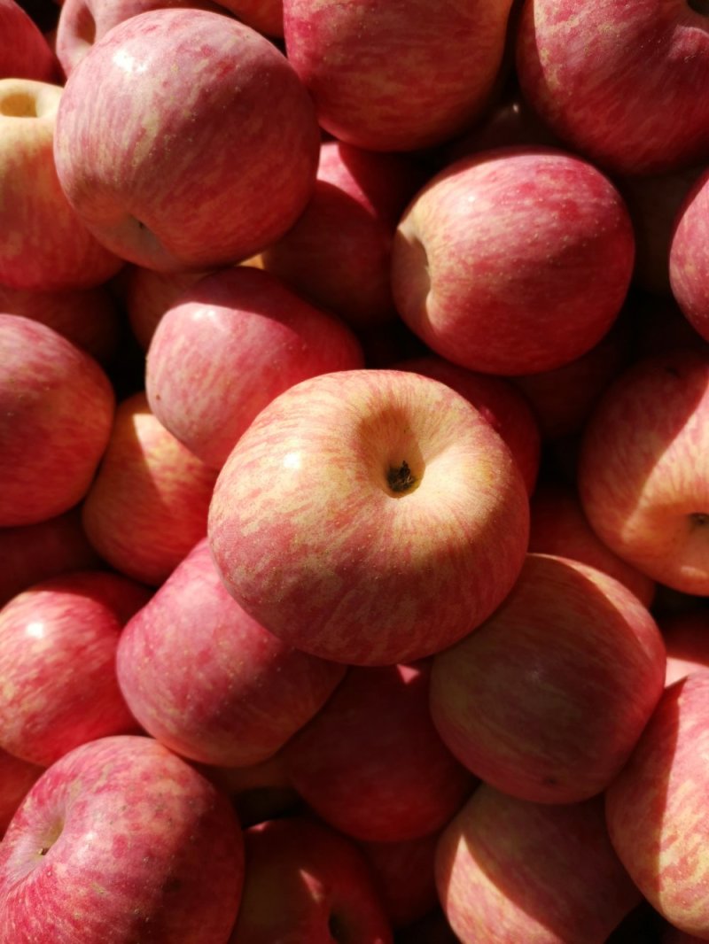 苹果🍎