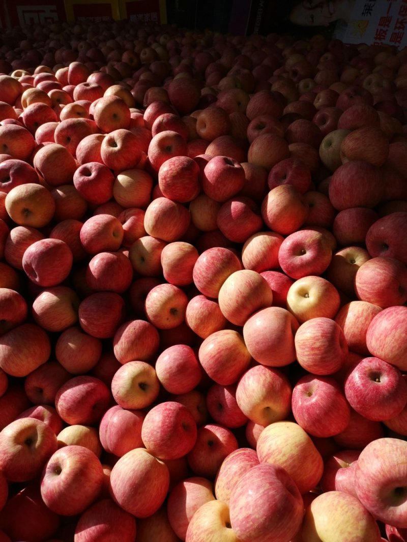 苹果🍎