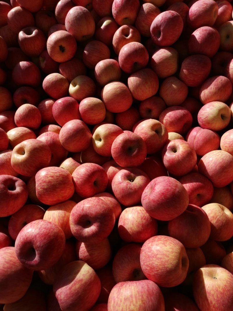 苹果🍎