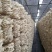 木耳菌包