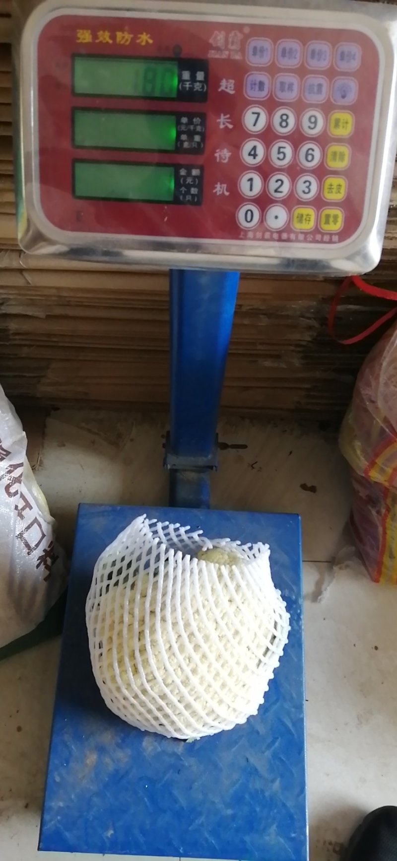【实力商家】菜花精品松花菜长期供应市场商超电商
