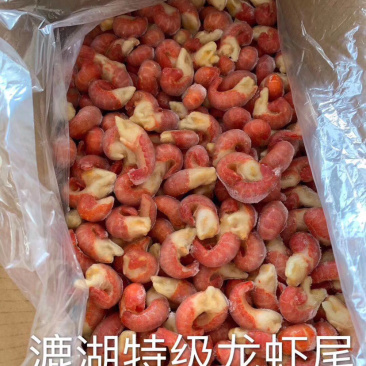 特级龙虾尾，每件9.5斤
