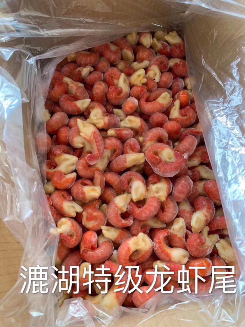 特级龙虾尾，每件9.5斤