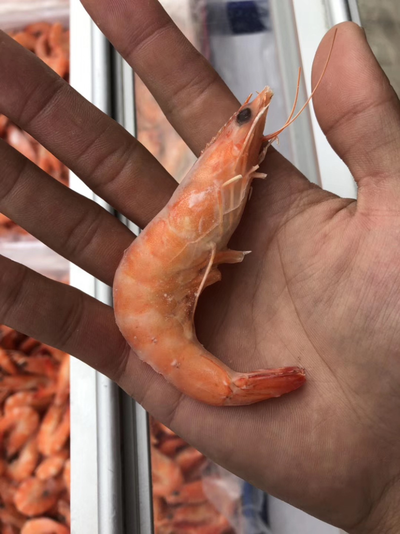 干冰熟虾冻虾