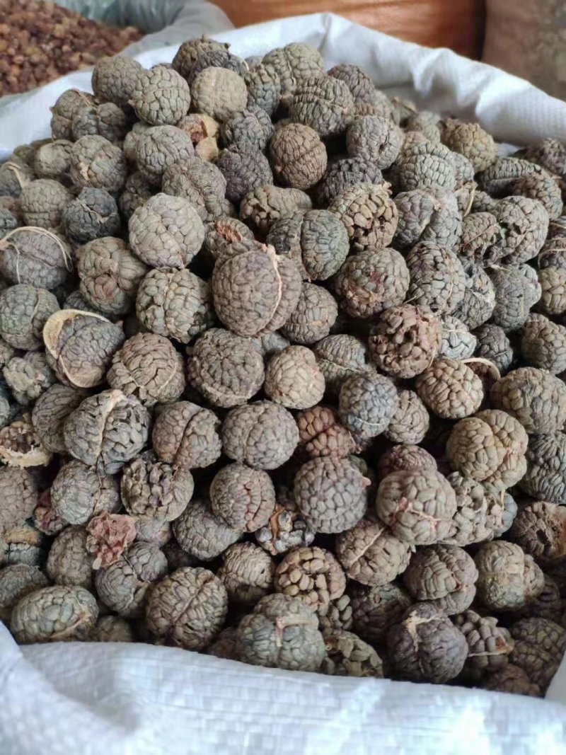 草豆蔻