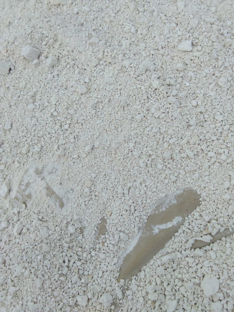 纯手工红薯粉面，粉条