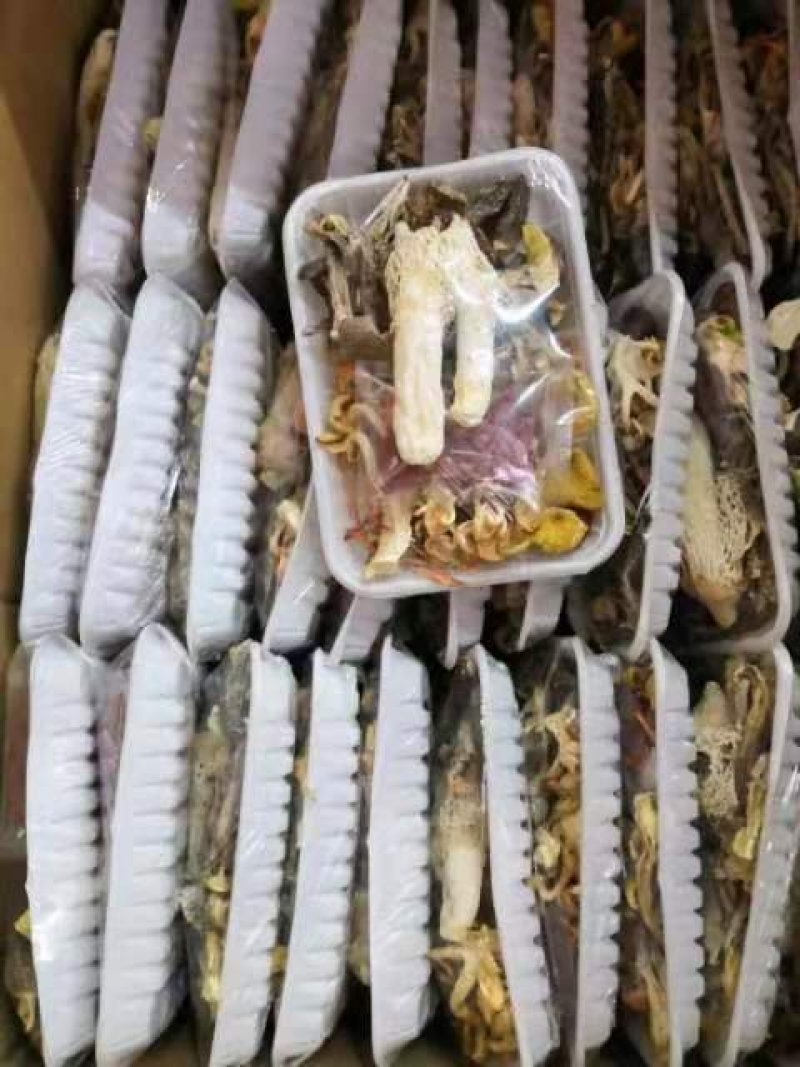 菌汤包/5包邮批发零售
