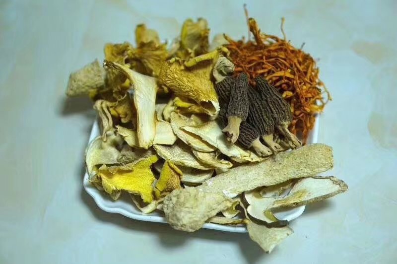 菌汤包/5包邮批发零售