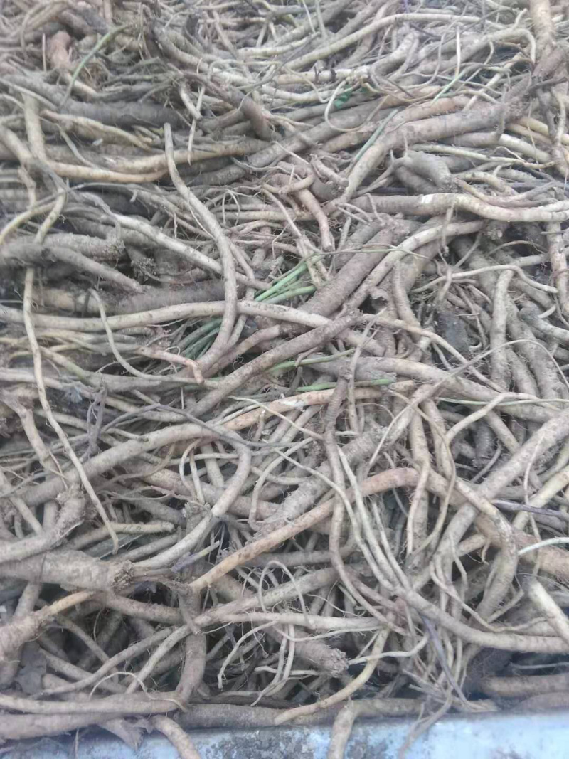 中药材，党参，今年的新鮮货质量保证价格实惠