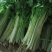 常年代收各种蔬菜