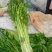 常年代收各种蔬菜