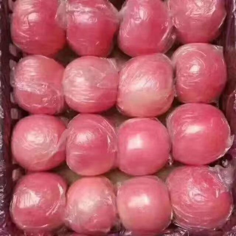 陕西精品纸加膜袋红富士苹果产地价格批发直销
