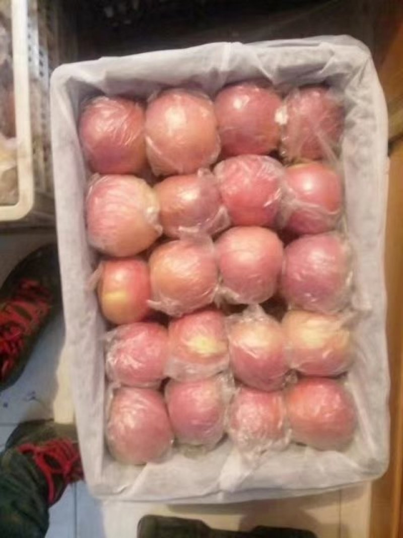 陕西精品纸加膜袋红富士苹果产地价格批发直销