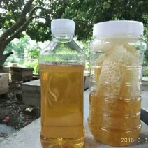 纯正土家荔枝蜜.龙眼蜜。