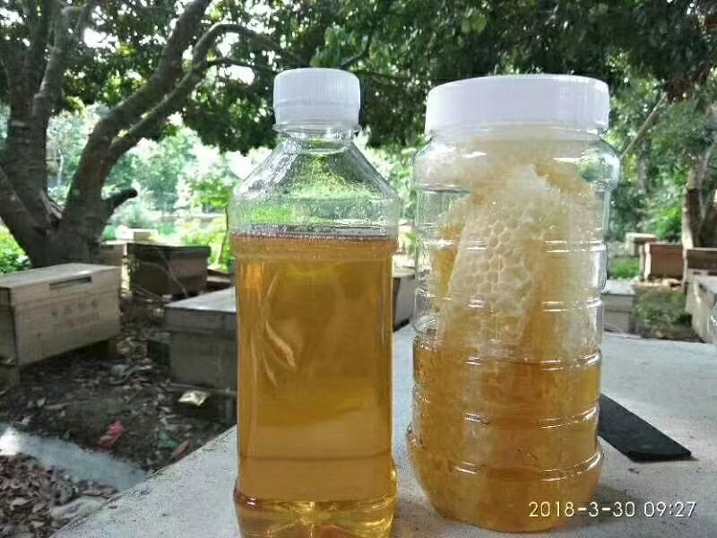 纯正土家荔枝蜜.龙眼蜜。