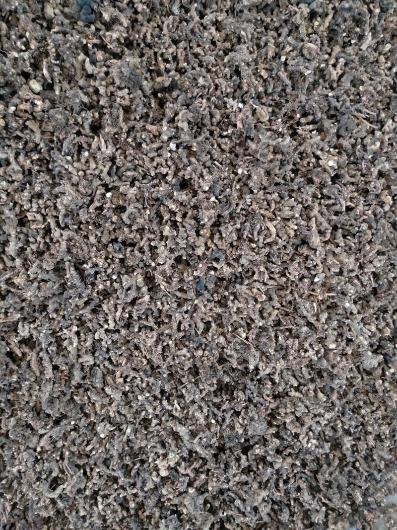 贵州野生优质淫羊藿片（仙灵脾）补肾阳强筋骨